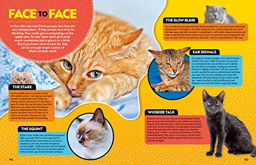 Cat Breed Guide: A complete reference to your purrfect best friend,New