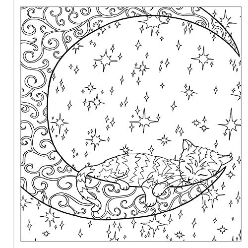 Zendoodle Colorscapes: Calming Kitties: Cozy Cats to Color and Display,Used