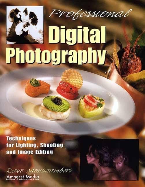 Professional Digital Photography: Techniques for Lighting, Shooting, and Image Editing,Used