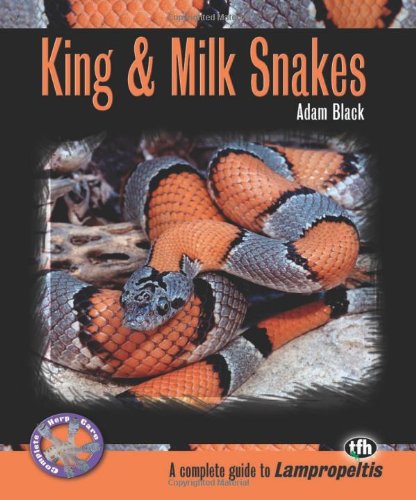 King & Milk Snakes,Used