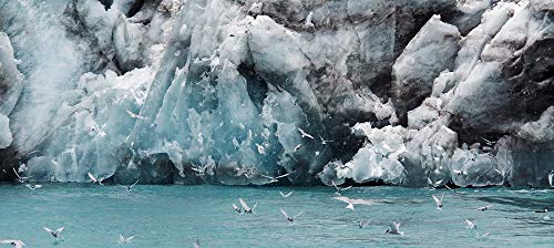 Southern Light: Images From Antarctica,Used