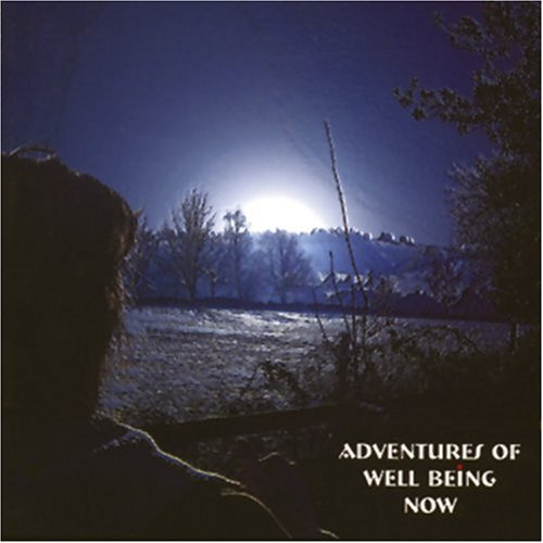 Adventures of Well Being Now,Used