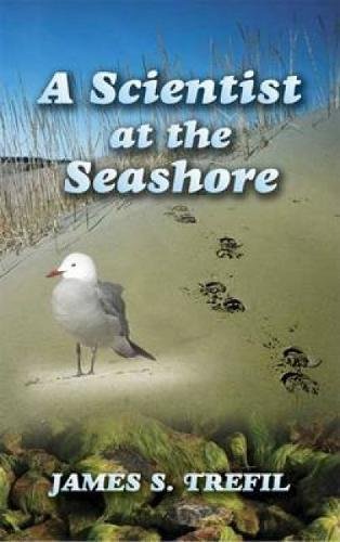 A Scientist at the Seashore,Used