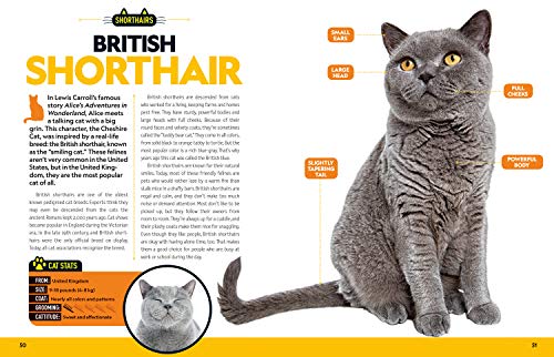 Cat Breed Guide: A complete reference to your purrfect best friend,New