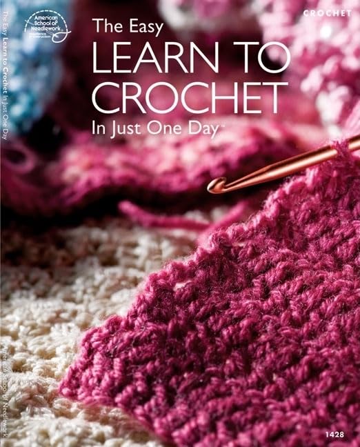 The Easy Learn to Crochet in Just One Day,Used