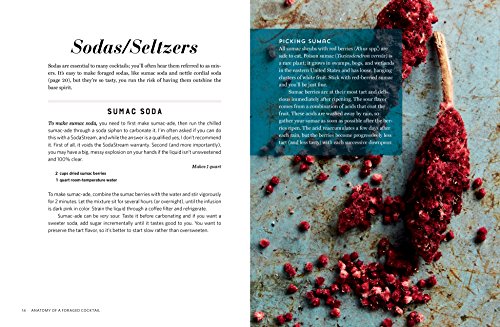 The Wildcrafted Cocktail: Make Your Own Foraged Syrups, Bitters, Infusions, and Garnishes; Includes Recipes for 45 OneofaKind,New