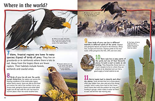 100 Facts Birds of Prey: Projects, Quizzes, Fun Facts, Cartoons,Used