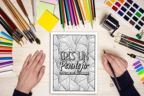 A Swear Word Coloring Book for Adults: Eat A Bag of D*cks,New