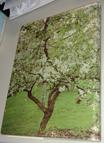 Lansing: Capital, Campus, and Cars,Used