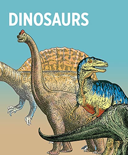 Dinosaurs Knowledge Cards Deck,Used