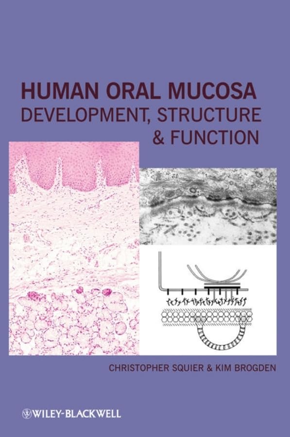 Human Oral Mucosa: Development, Structure And Function,Used