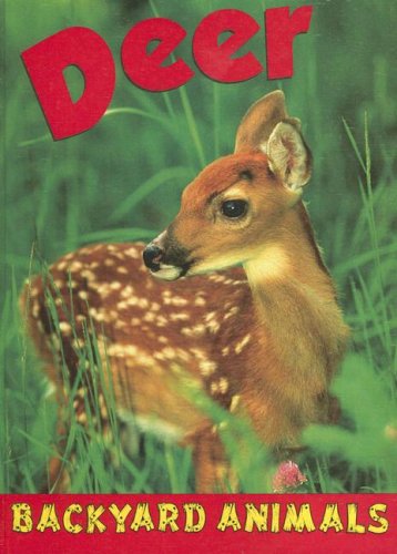 Deer (Backyard Animals),Used
