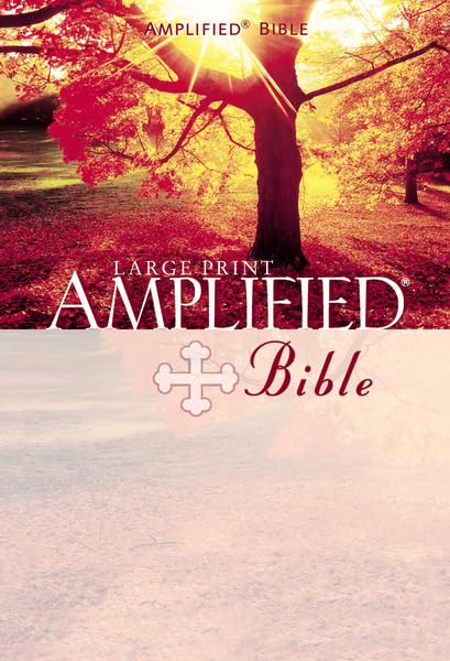 The Amplified Bible,Used