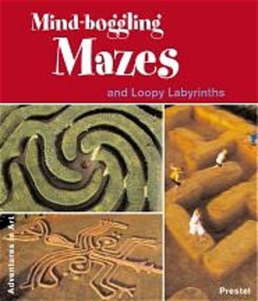 MindBoggling Mazes and Loopy Labyrinths (Adventures in Art),Used
