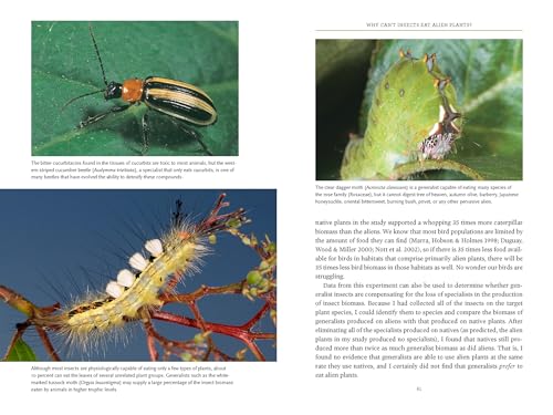 Bringing Nature Home: How You Can Sustain Wildlife With Native Plants, Updated And Expanded-used