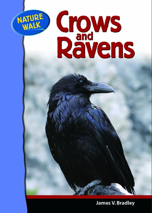 Crows And Ravens (Nature Walk),New