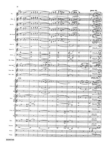 Rhythm of the Winds (Belwin Symphonic Band),Used