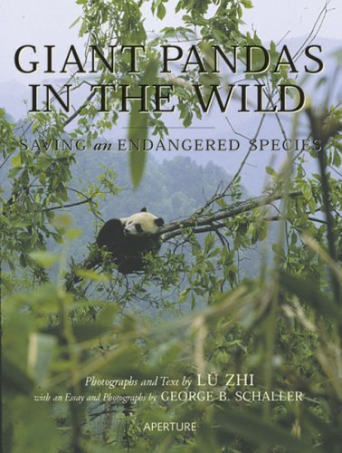 Giant Pandas in the Wild: Saving an Endangered Species,Used
