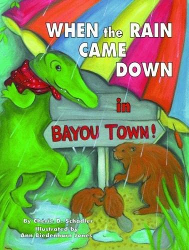 When the Rain Came Down in Bayou Town!,Used