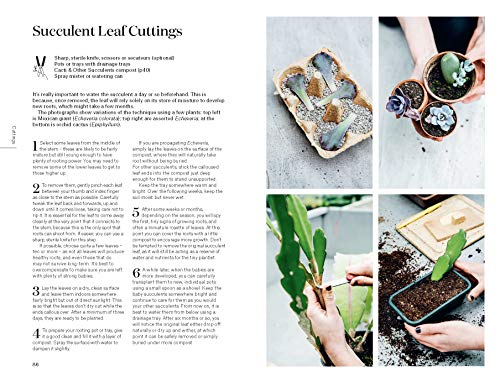 Root, Nurture, Grow: The Essential Guide to Propagating and Sharing Houseplants,New