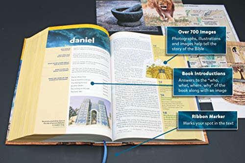 NIV, Kids' Visual Study Bible, Leathersoft, Bronze, Full Color Interior: Explore the Story of the BiblePeople, Places, and Hi,New