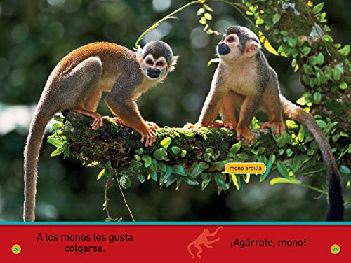 National Geographic Readers: Agrrate, Mono! (Prereader)Spanish Edition,Used