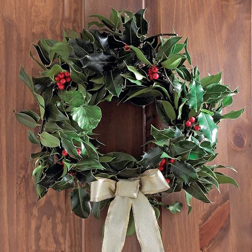The Spirit of Christmas: Traditional Recipes, Crafts and Carols,Used