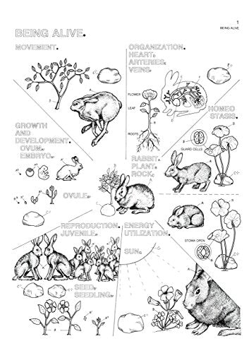 The Biology Coloring Book,Used