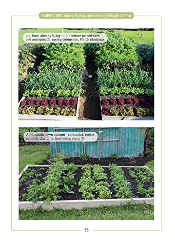 Salad Leaves for All Seasons: Organic Growing from Pot to Plot,Used