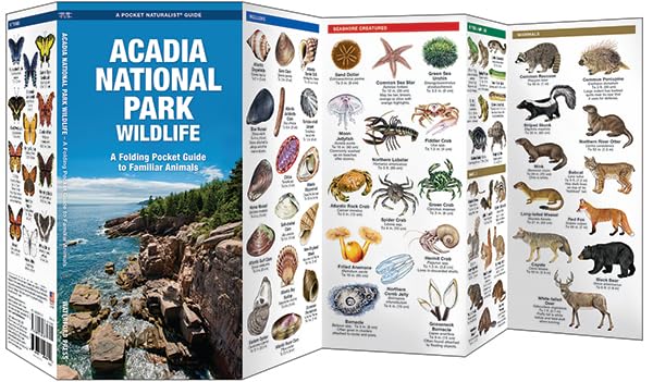 Acadia National Park Wildlife: A Folding Pocket Guide to Familiar Animals (Wildlife and Nature Identification),Used