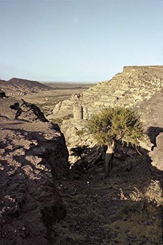 Peter Schlesinger: Eight Days in Yemen,Used