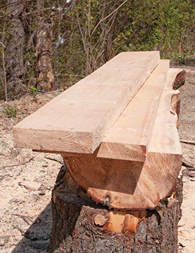 Homeowner's Complete Guide to the Chainsaw: A Chainsaw Pro Shows You How to Safely and Confidently Handle Everything from Trimmi,New