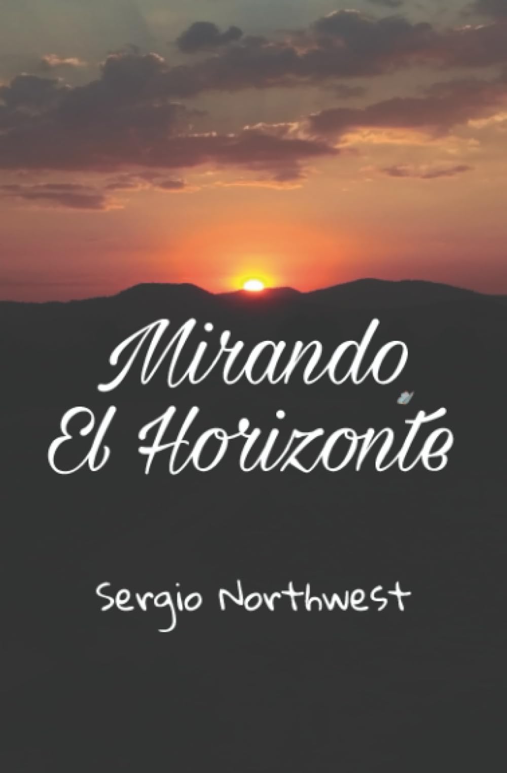 Mirando El Horizonte (Spanish Edition),Used