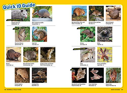 Ultimate Explorer Field Guide: Mammals,Used