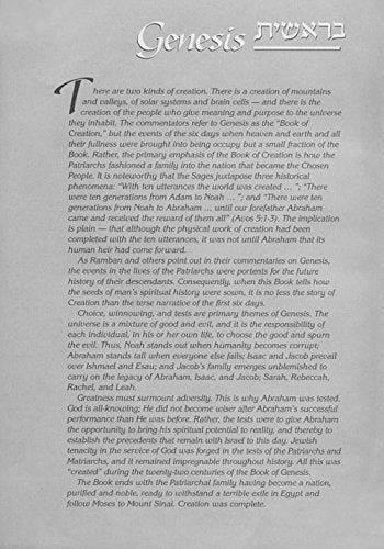 Tanach: The Stone, Student Size Black (Hebrew and English Edition),Used