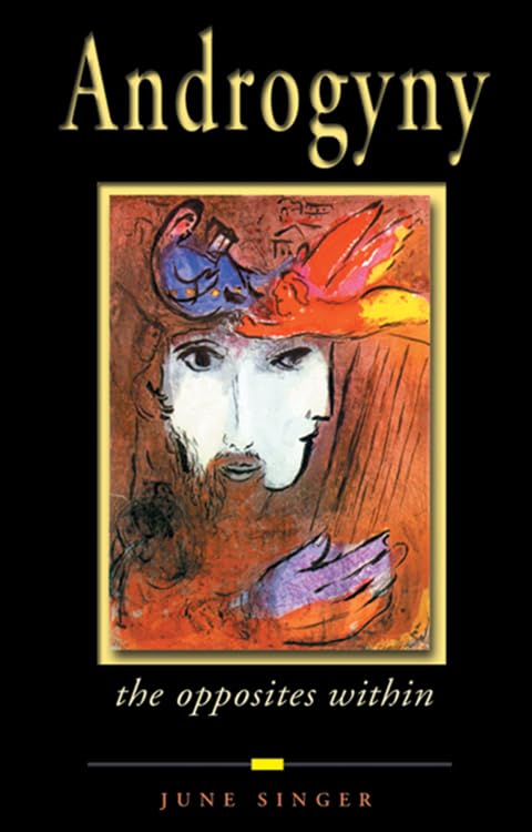 Androgyny: The Opposites Within (The Jung On The Hudson Book Series)