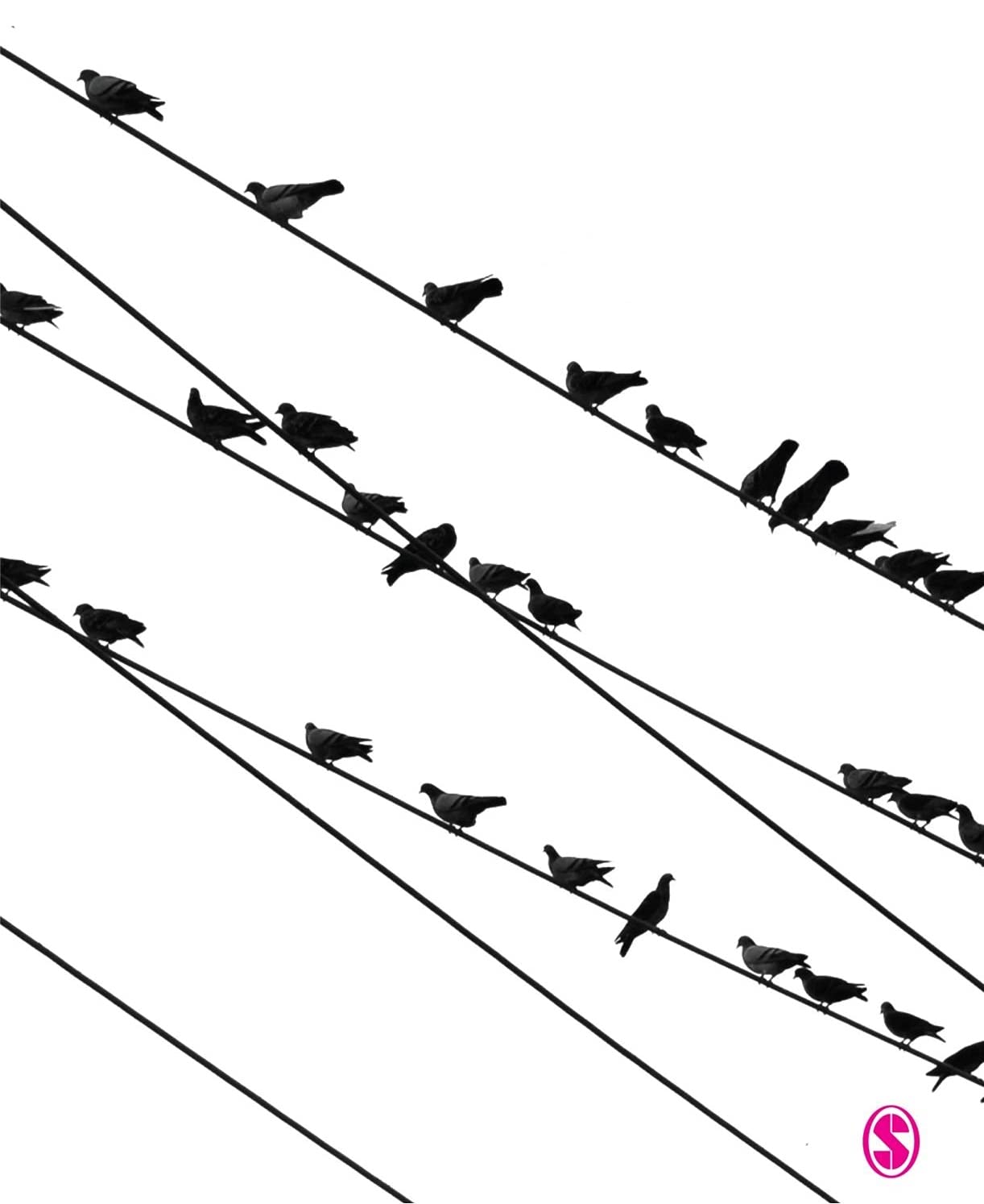 Identity in Question,Used