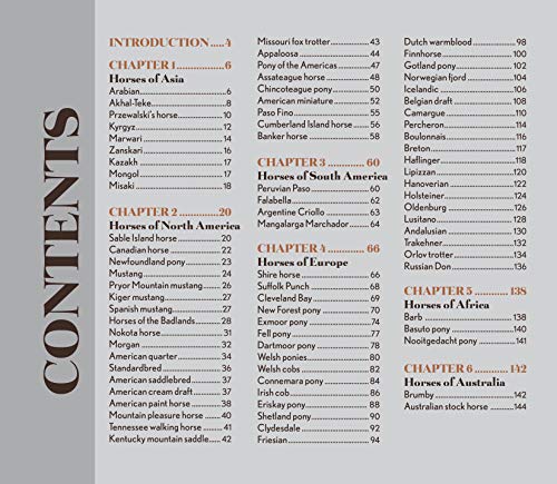 Horses: Bold and Beautiful,Used