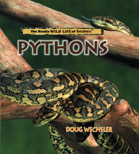 Pythons (The Really Wild Life of Snakes),Used