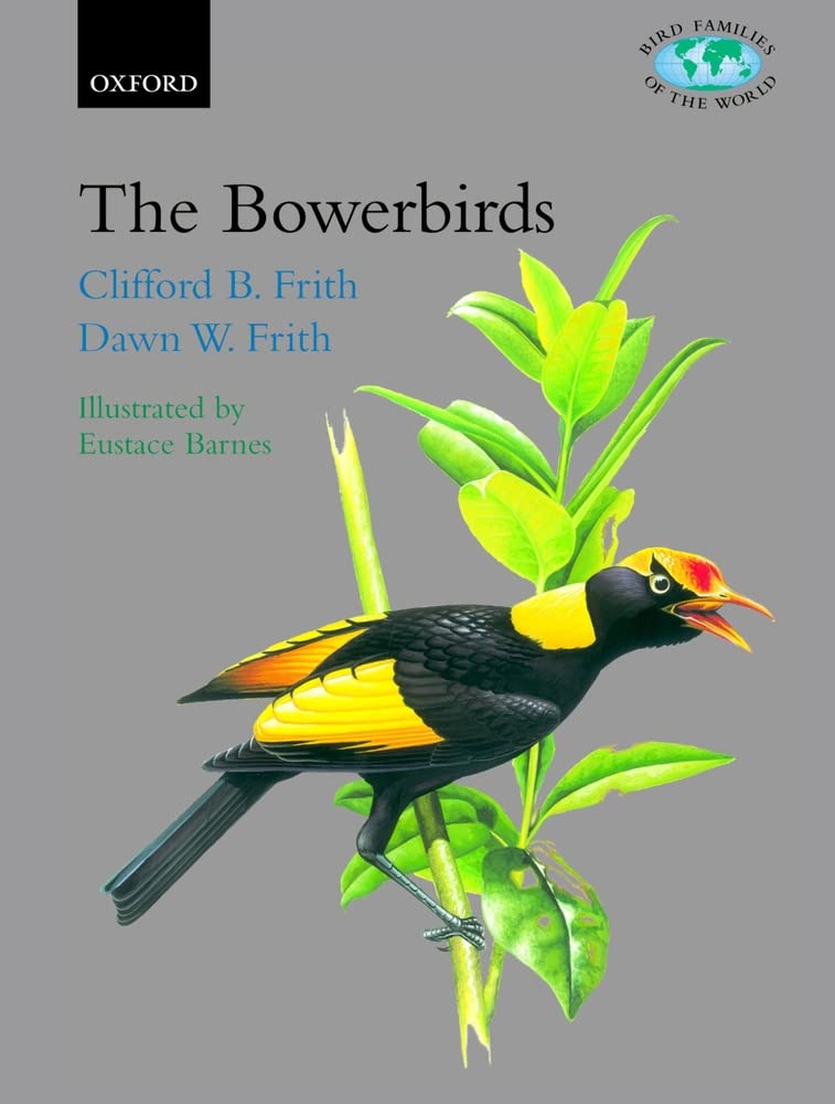 The Bowerbirds: Ptilonorhynchidae (Bird Families of the World),Used