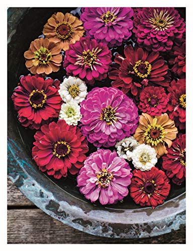 In Bloom: Growing, Harvesting, and Arranging Homegrown Flowers All Year Round (CompanionHouse Books) Create a Perfect Garden of ,Used