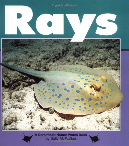 Rays (Nature Watch),Used