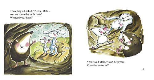 Mole and the New Hole: Blue / Band 4 (Collins Big Cat Phonics),Used