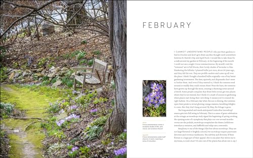 A Year at Brandywine Cottage: Six Seasons of Beauty, Bounty, and Blooms,Used