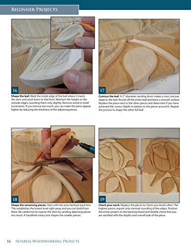 Intarsia Woodworking Projects: 21 Original Designs with FullSize Plans and Expert Instruction for All Skill Levels (Fox Chapel ,Used