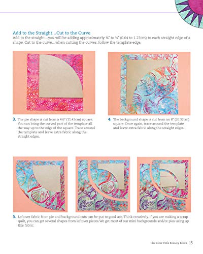New York Beauty Quilts Electrified: 12 Fun, SkillBuilding Projects Using Easy Foundation PaperPiecing Techniques to Electrify ,Used