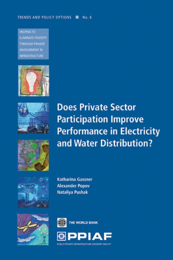 Does Private Sector Participation Improve Performance In Electricity And Water Distribution? (6) (Trends And Policy Options (Ppi,New