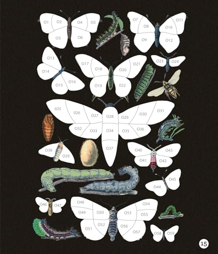 Brain Games  Sticker by Number  Vintage: Butterflies (28 Images to Sticker),Used