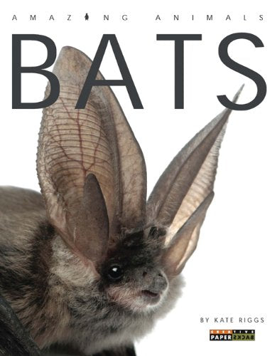 Amazing Animals: Bats
