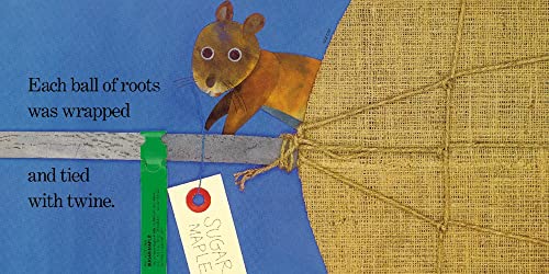 Red Leaf, Yellow Leaf,Used